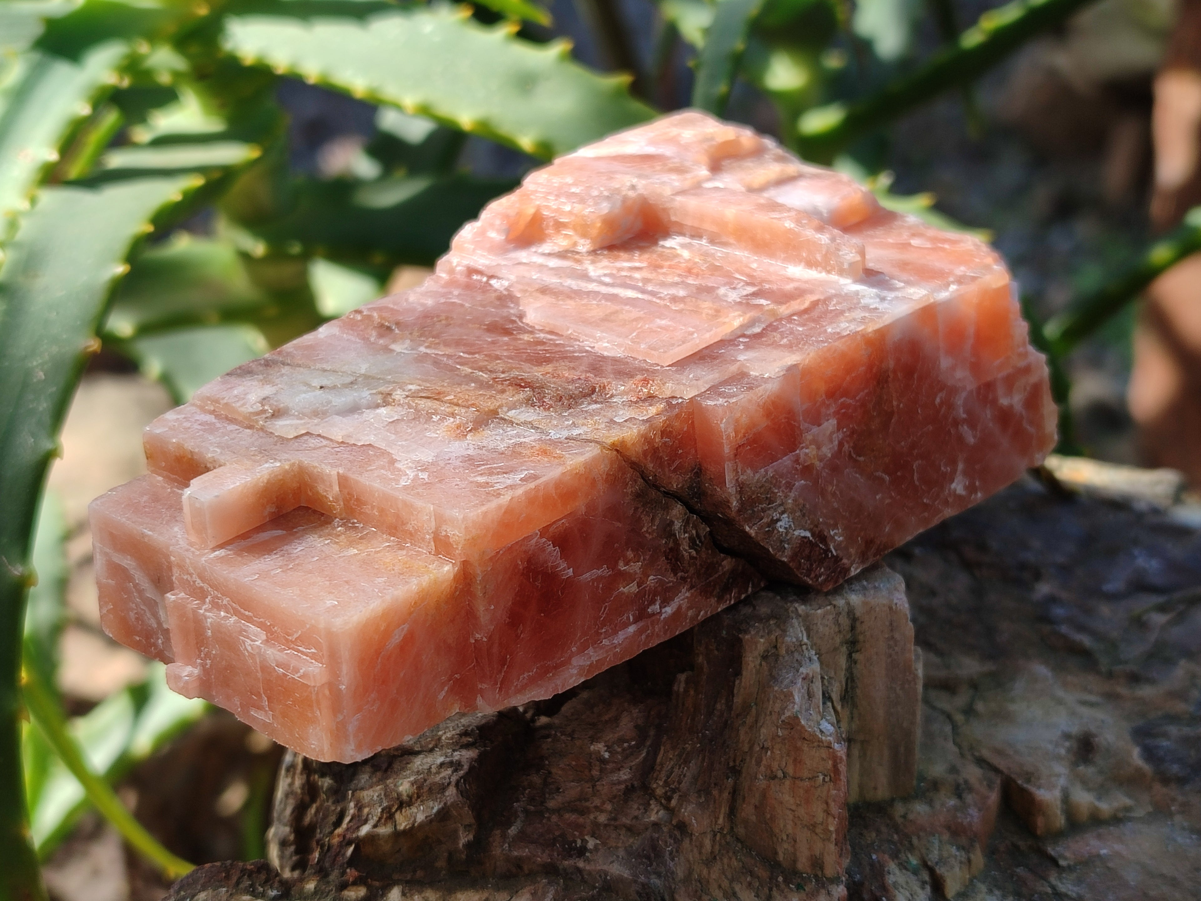 Natural Rhombohedral Sunset Orange Calcite Specimens x 12 From Spitzkop, Namibia - Toprock Gemstones and Minerals 