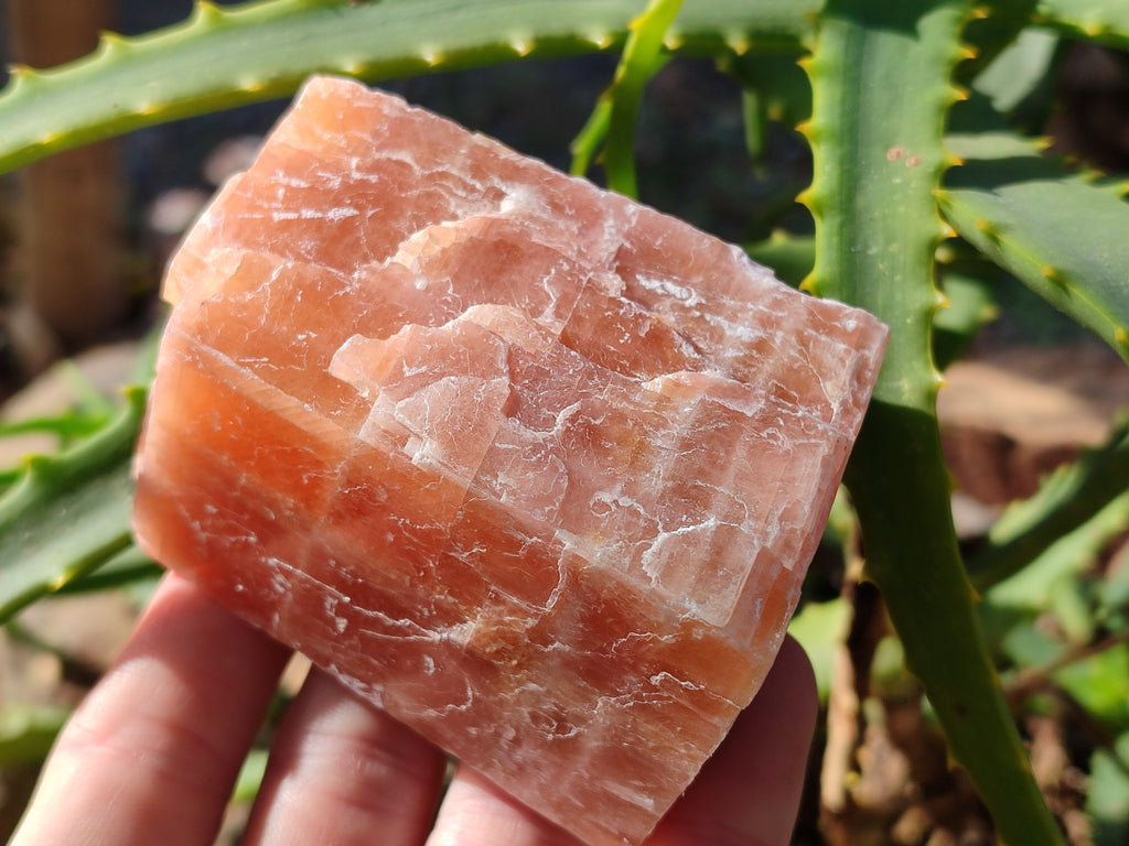 Natural Rhombohedral Sunset Orange Calcite Specimens x 12 From Spitzkop, Namibia - Toprock Gemstones and Minerals 