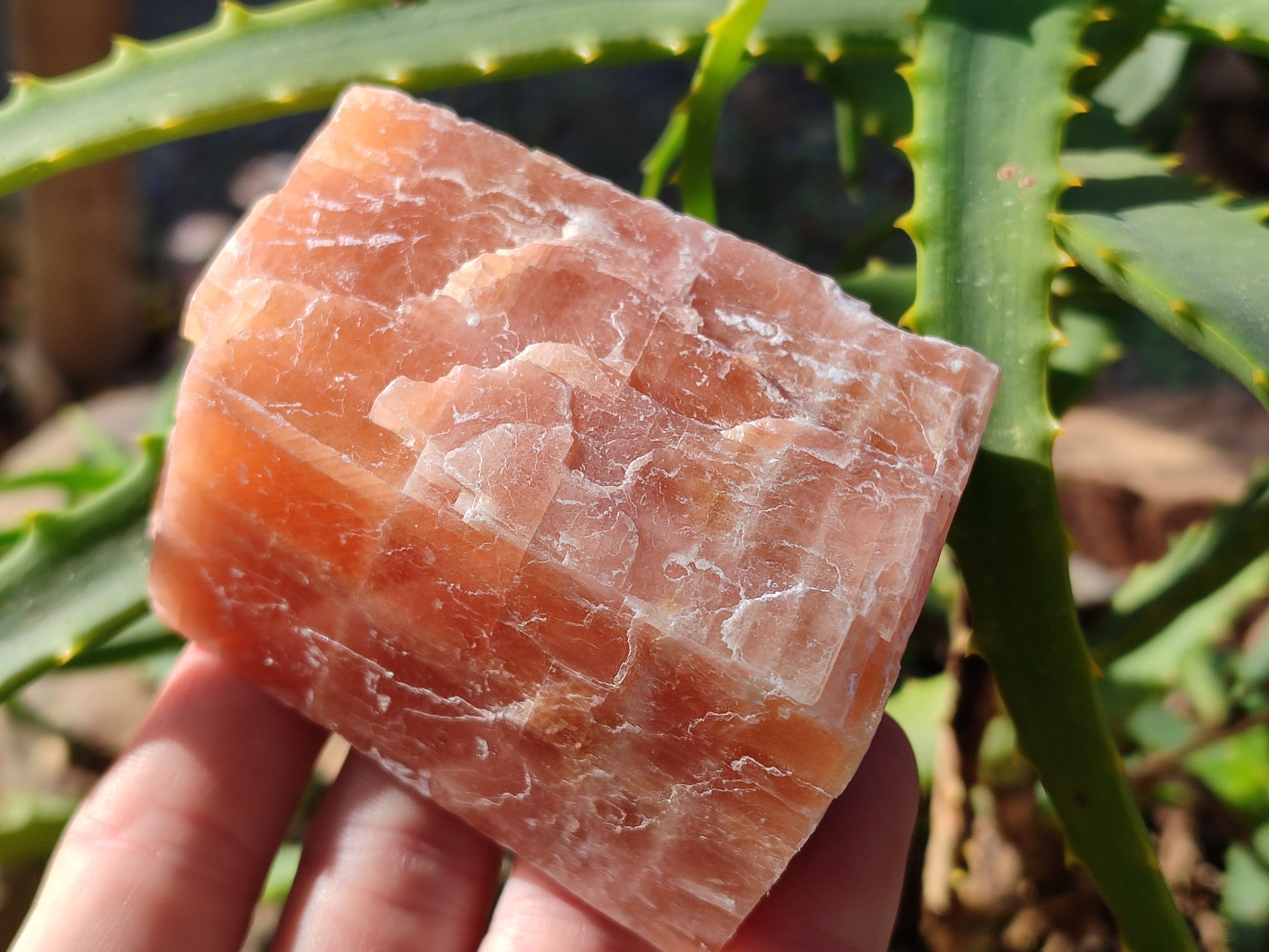 Natural Rhombohedral Sunset Orange Calcite Specimens x 12 From Spitzkop, Namibia - Toprock Gemstones and Minerals 