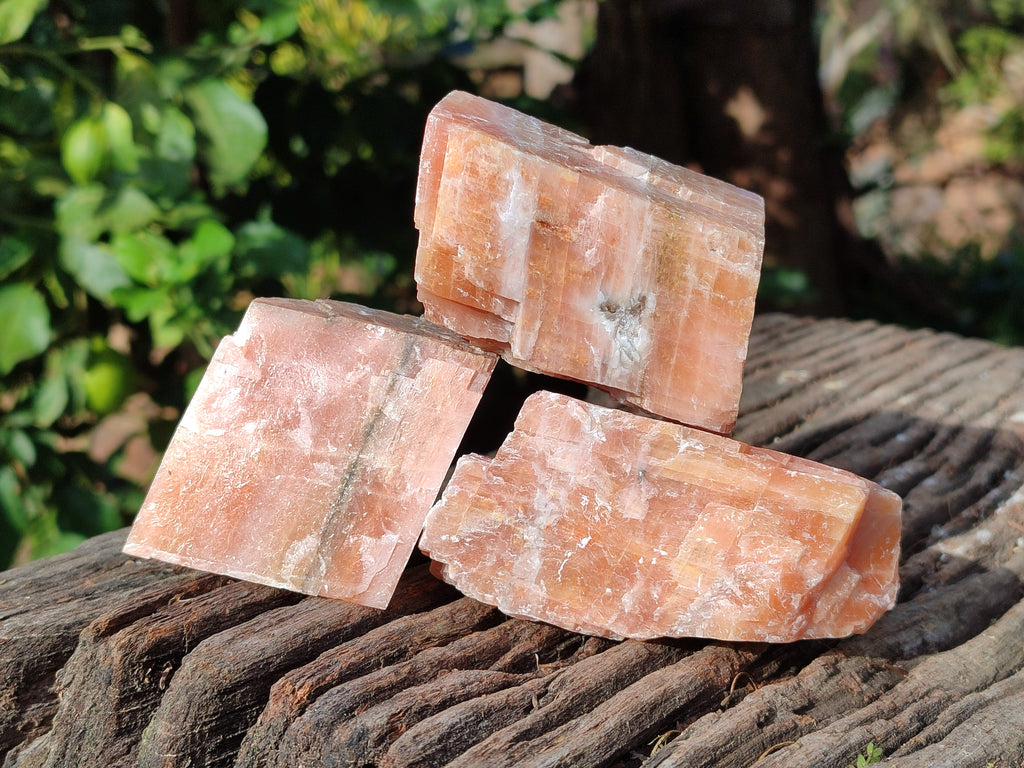 Natural Rhombohedral Sunset Orange Calcite Specimens x 12 From Spitzkop, Namibia - Toprock Gemstones and Minerals 