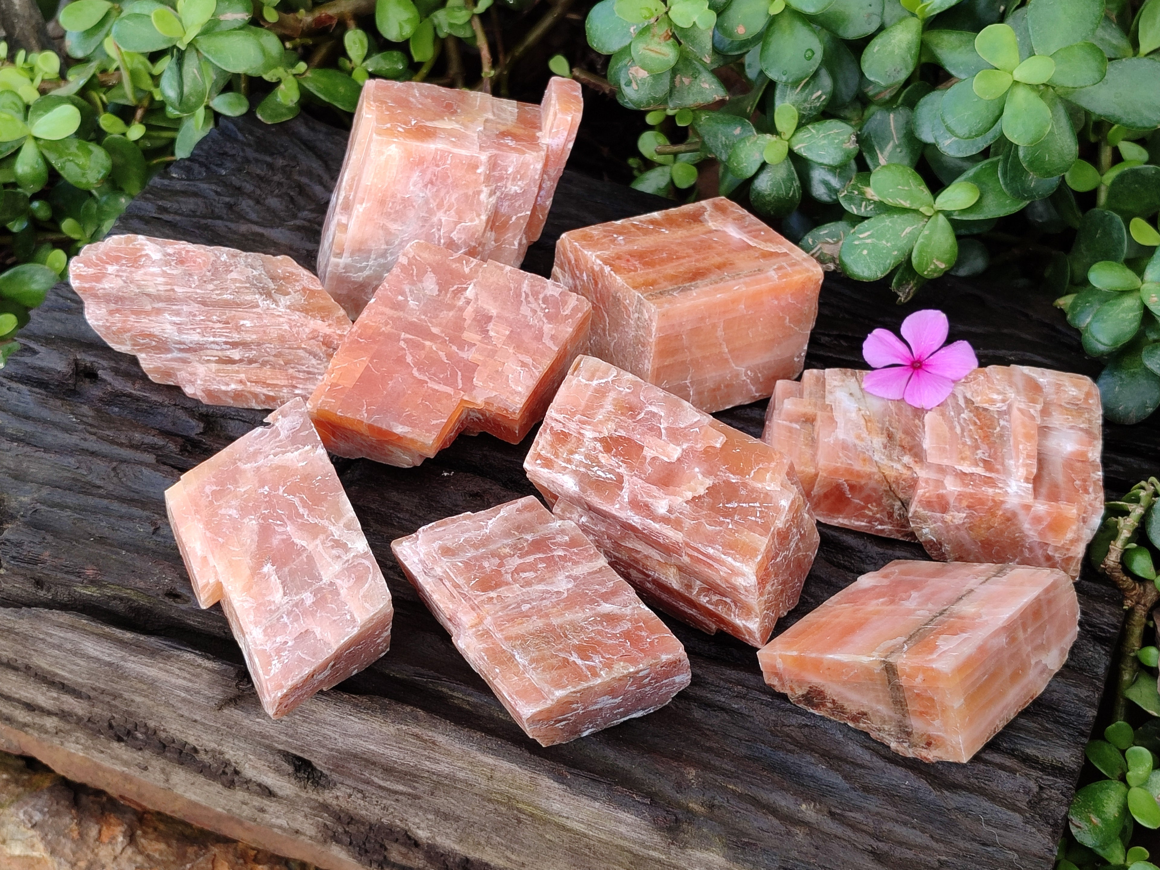 Natural Rhombohedral Sunset Orange Calcite Specimens x 12 From Spitzkop, Namibia - Toprock Gemstones and Minerals 