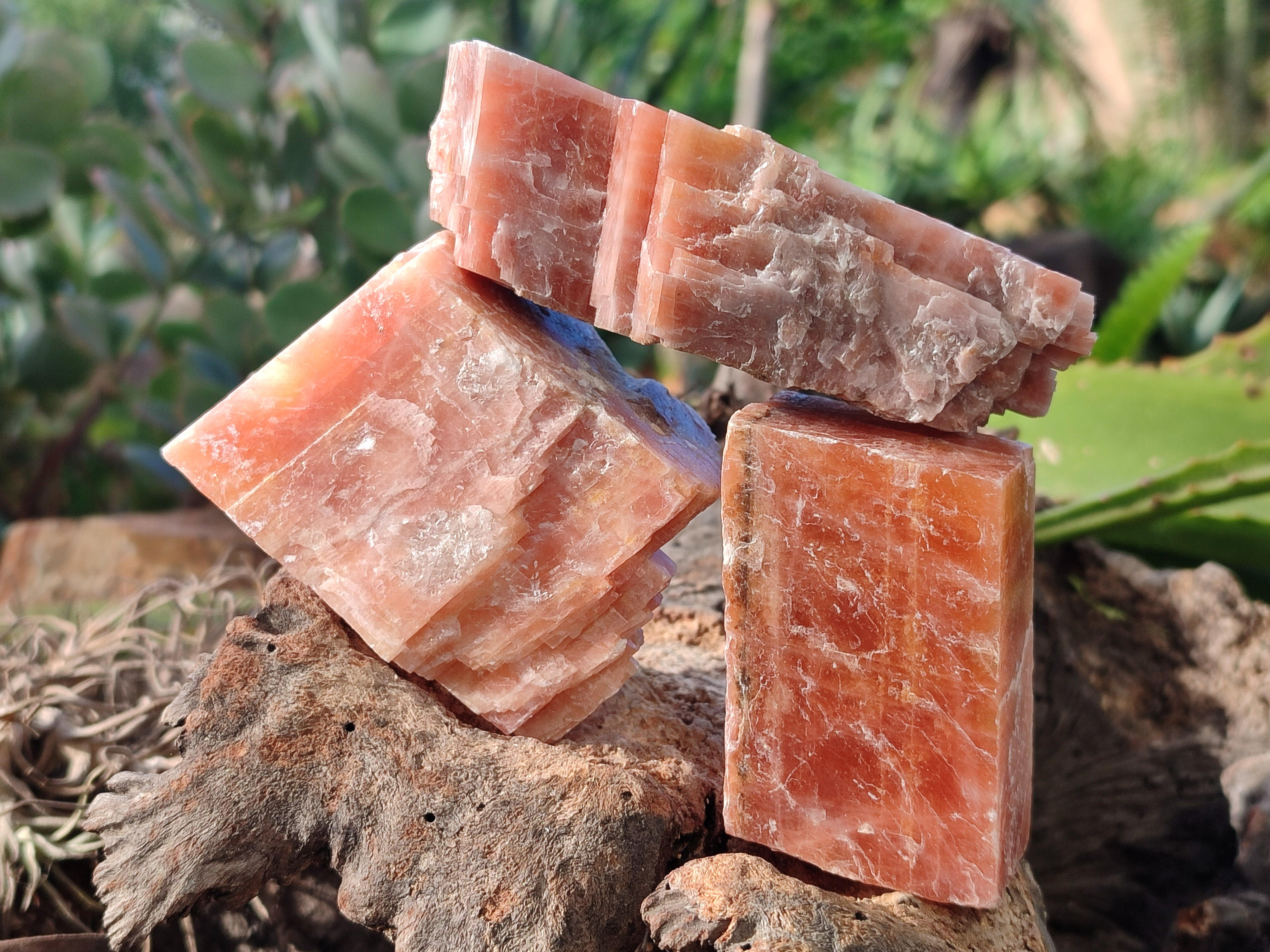 Natural Rhombohedral Sunset Orange Calcite Specimens x 12 From Spitzkop, Namibia - Toprock Gemstones and Minerals 