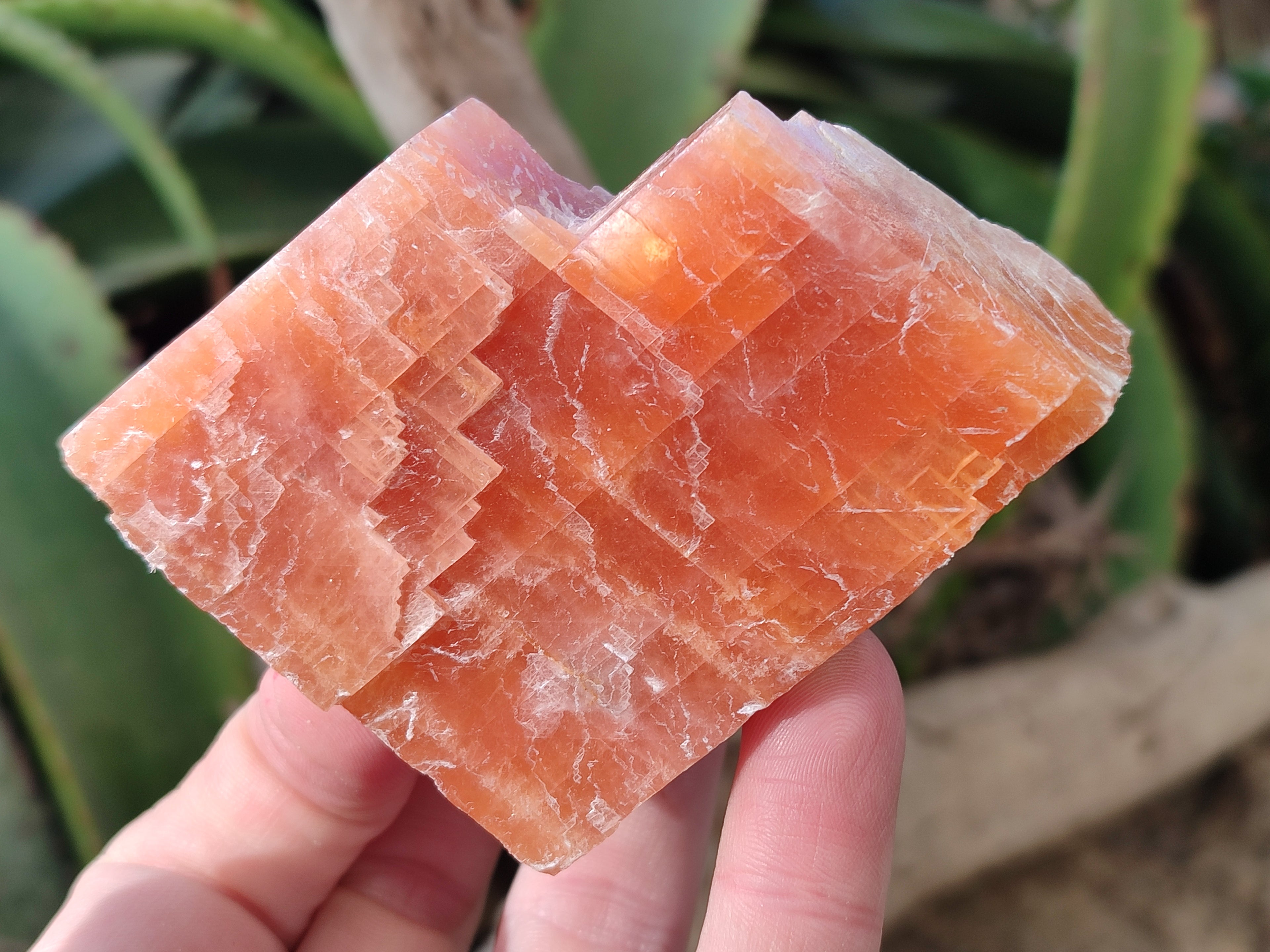 Natural Rhombohedral Sunset Orange Calcite Specimens x 12 From Spitzkop, Namibia - Toprock Gemstones and Minerals 