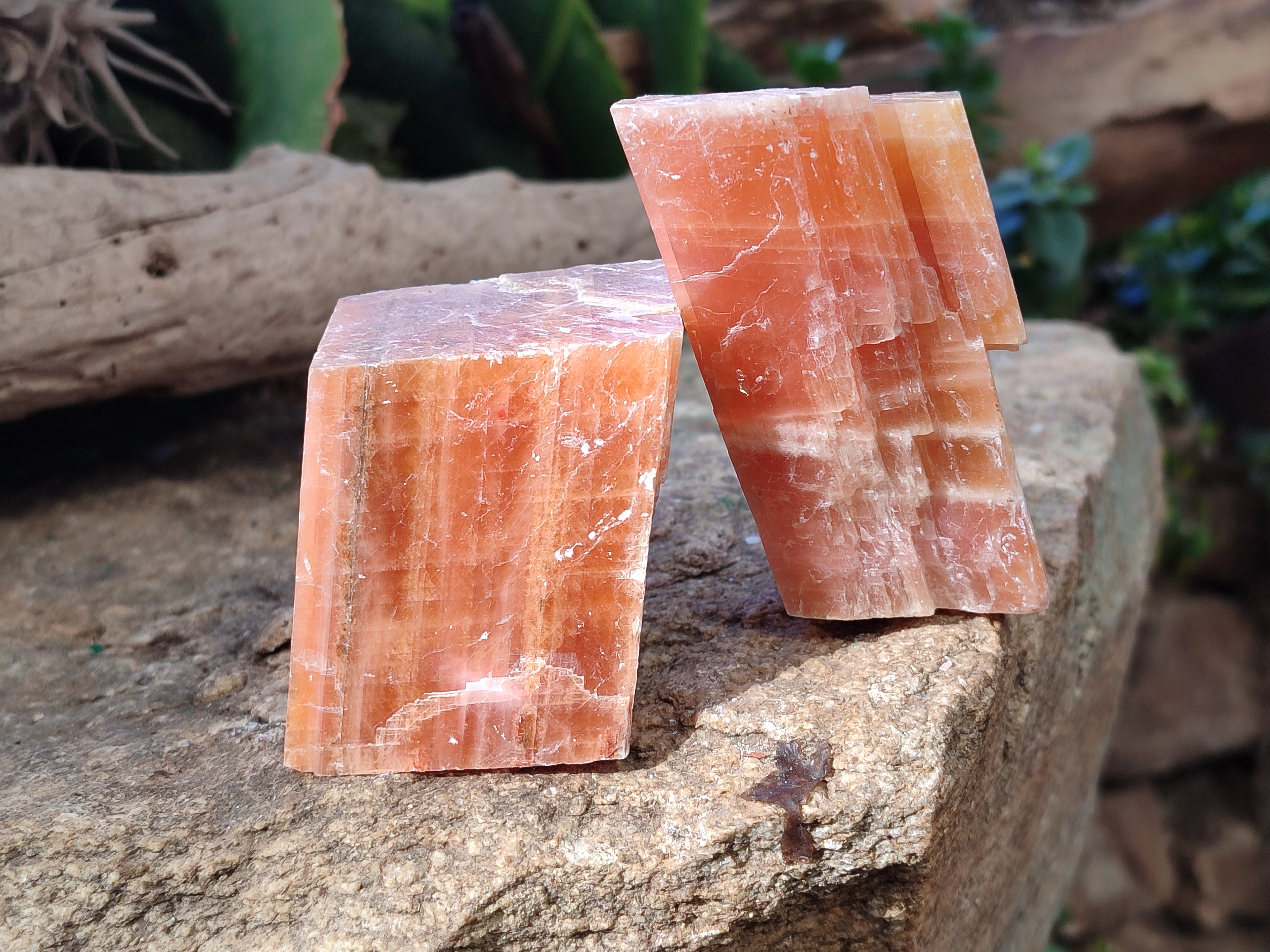 Natural Rhombohedral Sunset Orange Calcite Specimens x 12 From Spitzkop, Namibia - Toprock Gemstones and Minerals 