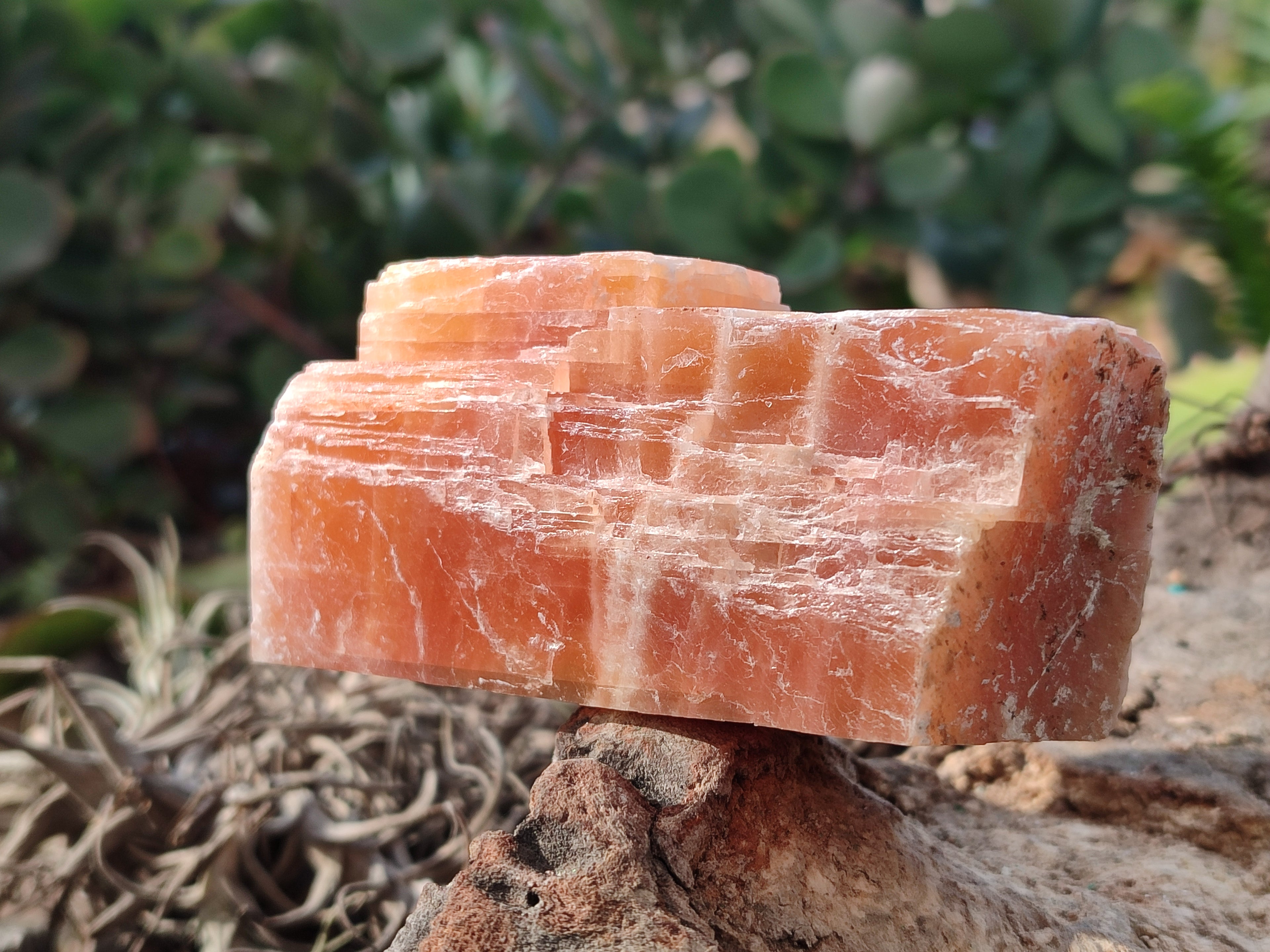 Natural Rhombohedral Sunset Orange Calcite Specimens x 12 From Spitzkop, Namibia - Toprock Gemstones and Minerals 