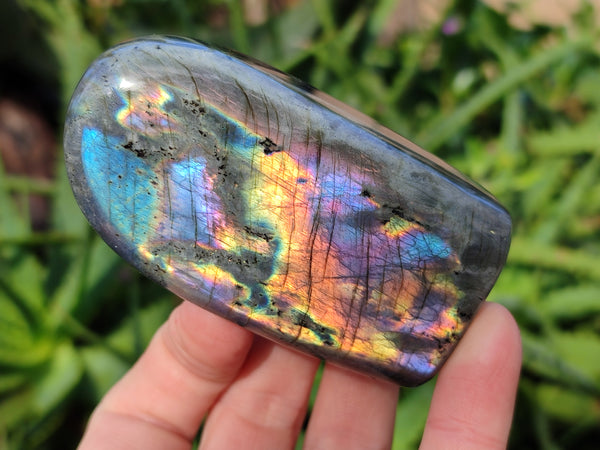Polished Purple, Gold and Blue Flash Labradorite Standing Free Forms x 6 From Tulear, Madagascar