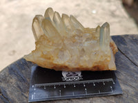 Natural Mixed Quartz Clusters x 6 From Madagascar - Toprock Gemstones and Minerals 