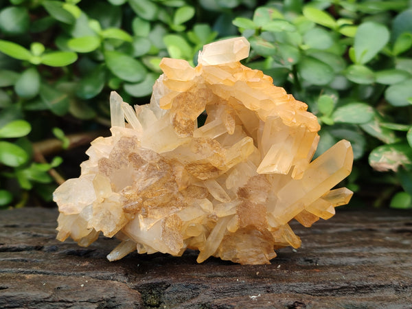 Natural Mixed Quartz Clusters x 6 From Madagascar