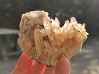 Natural Mixed Quartz Clusters x 6 From Madagascar - Toprock Gemstones and Minerals 