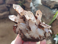 Natural Mixed Quartz Clusters x 6 From Madagascar - Toprock Gemstones and Minerals 