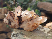 Natural Mixed Quartz Clusters x 6 From Madagascar - Toprock Gemstones and Minerals 