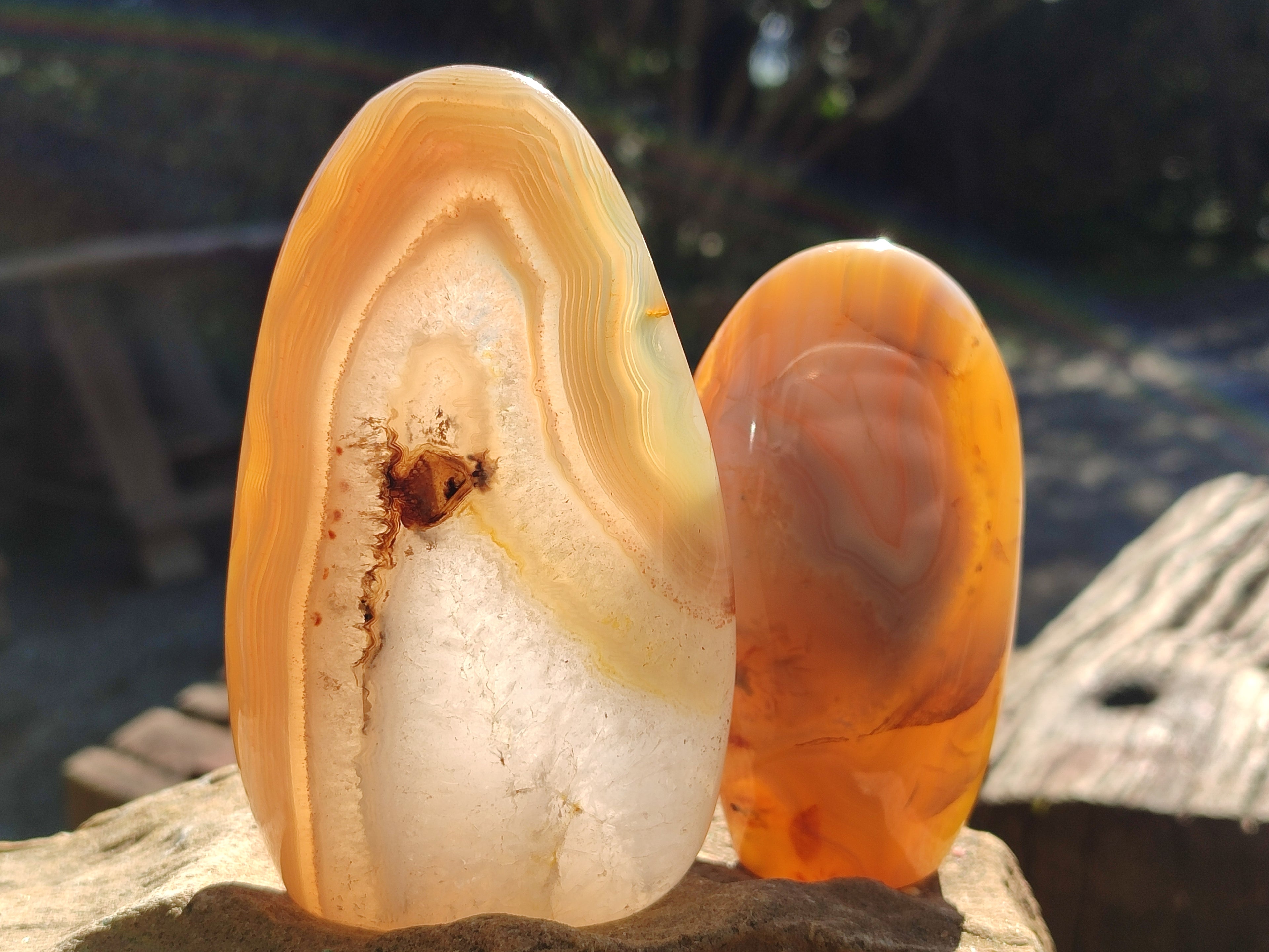 Polished Banded Agate Standing Free Forms x 5 From Madagascar - Toprock Gemstones and Minerals 