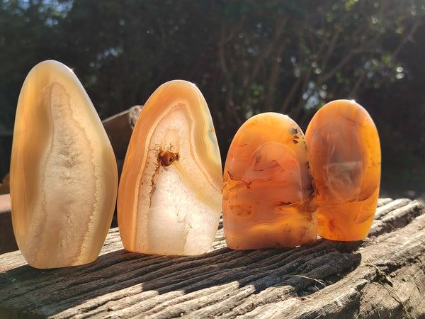 Polished Banded Agate Standing Free Forms x 5 From Madagascar