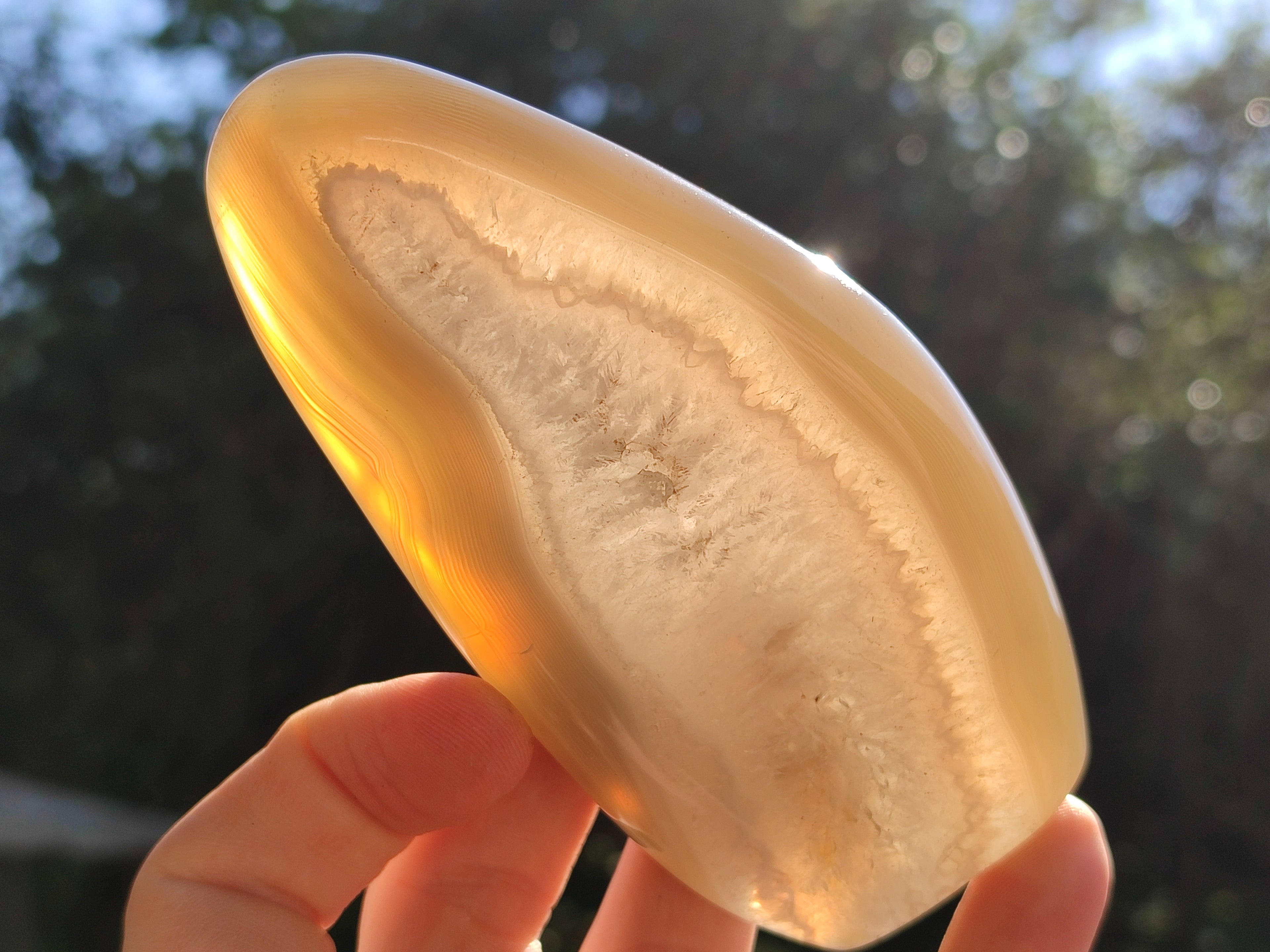 Polished Banded Agate Standing Free Forms x 5 From Madagascar - Toprock Gemstones and Minerals 