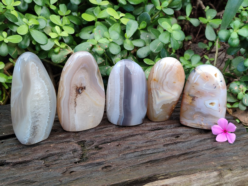 Polished Banded Agate Standing Free Forms x 5 From Madagascar - Toprock Gemstones and Minerals 