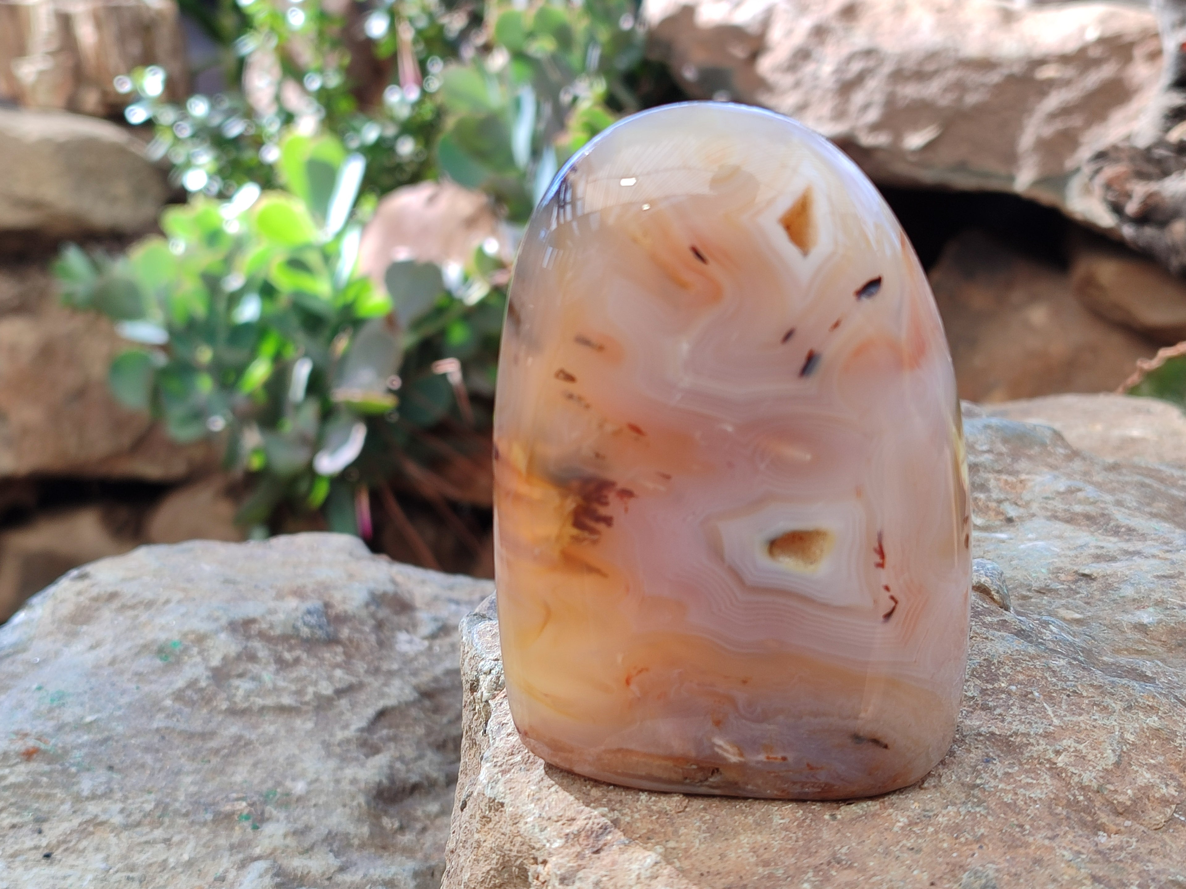 Polished Banded Agate Standing Free Forms x 5 From Madagascar - Toprock Gemstones and Minerals 