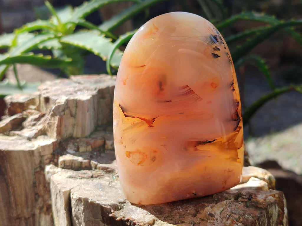 Polished Banded Agate Standing Free Forms x 5 From Madagascar - Toprock Gemstones and Minerals 