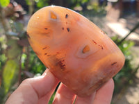 Polished Banded Agate Standing Free Forms x 5 From Madagascar - Toprock Gemstones and Minerals 