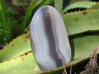 Polished Banded Agate Standing Free Forms x 5 From Madagascar - Toprock Gemstones and Minerals 