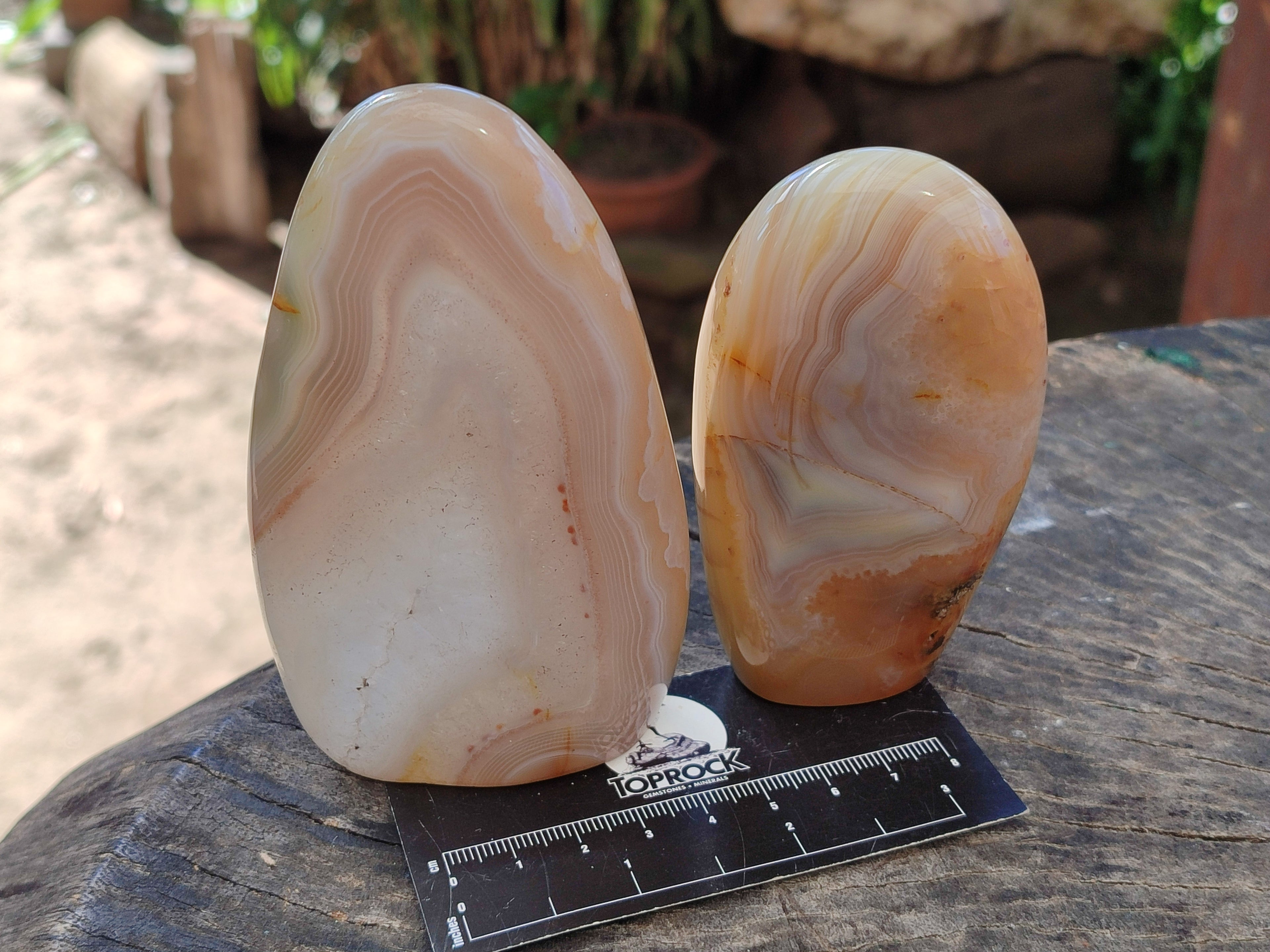 Polished Banded Agate Standing Free Forms x 5 From Madagascar - Toprock Gemstones and Minerals 
