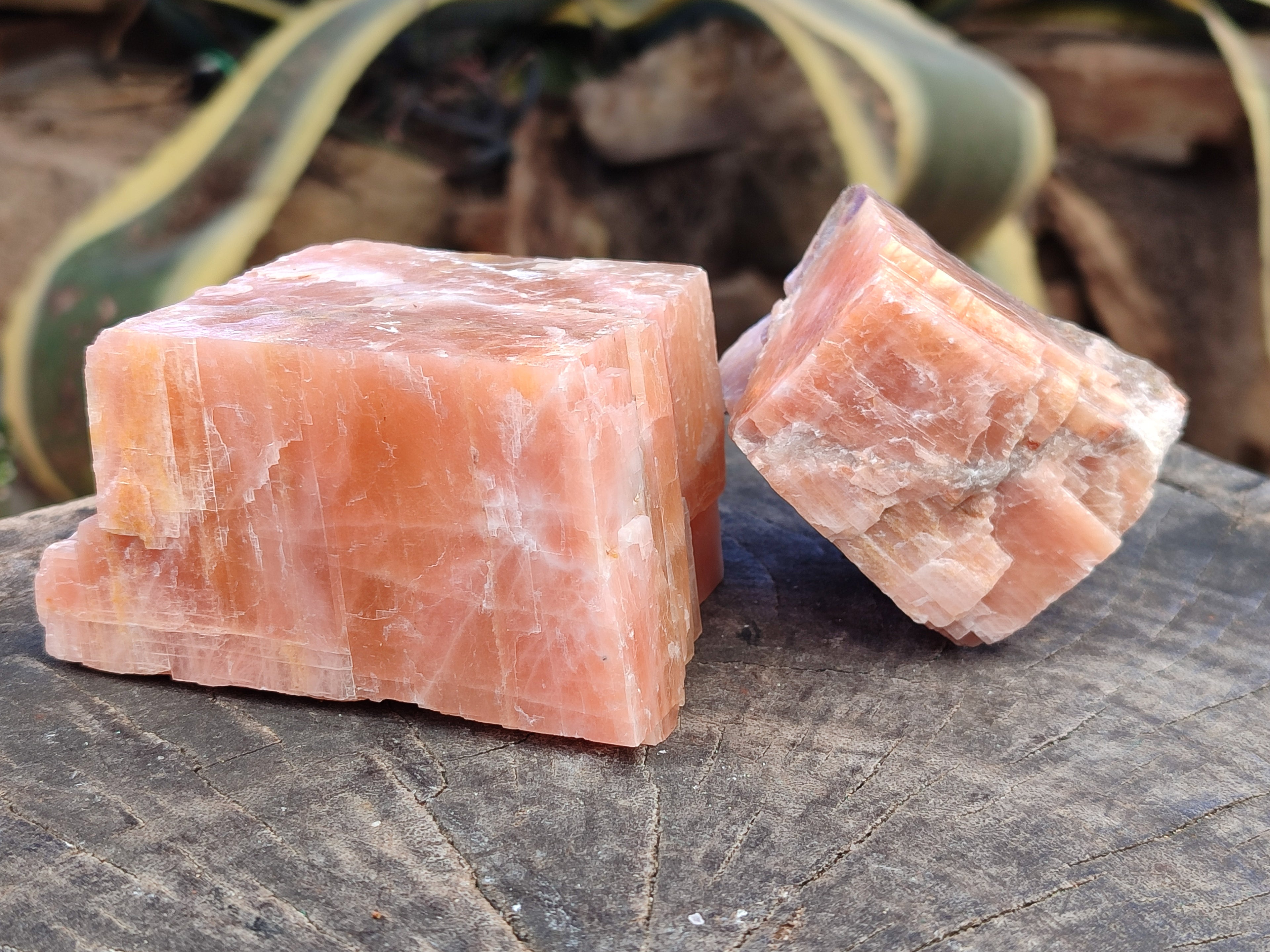 Natural Rhombohedral Sunset Orange Calcite Specimens x 6 From Spitzkop, Namibia - Toprock Gemstones and Minerals 