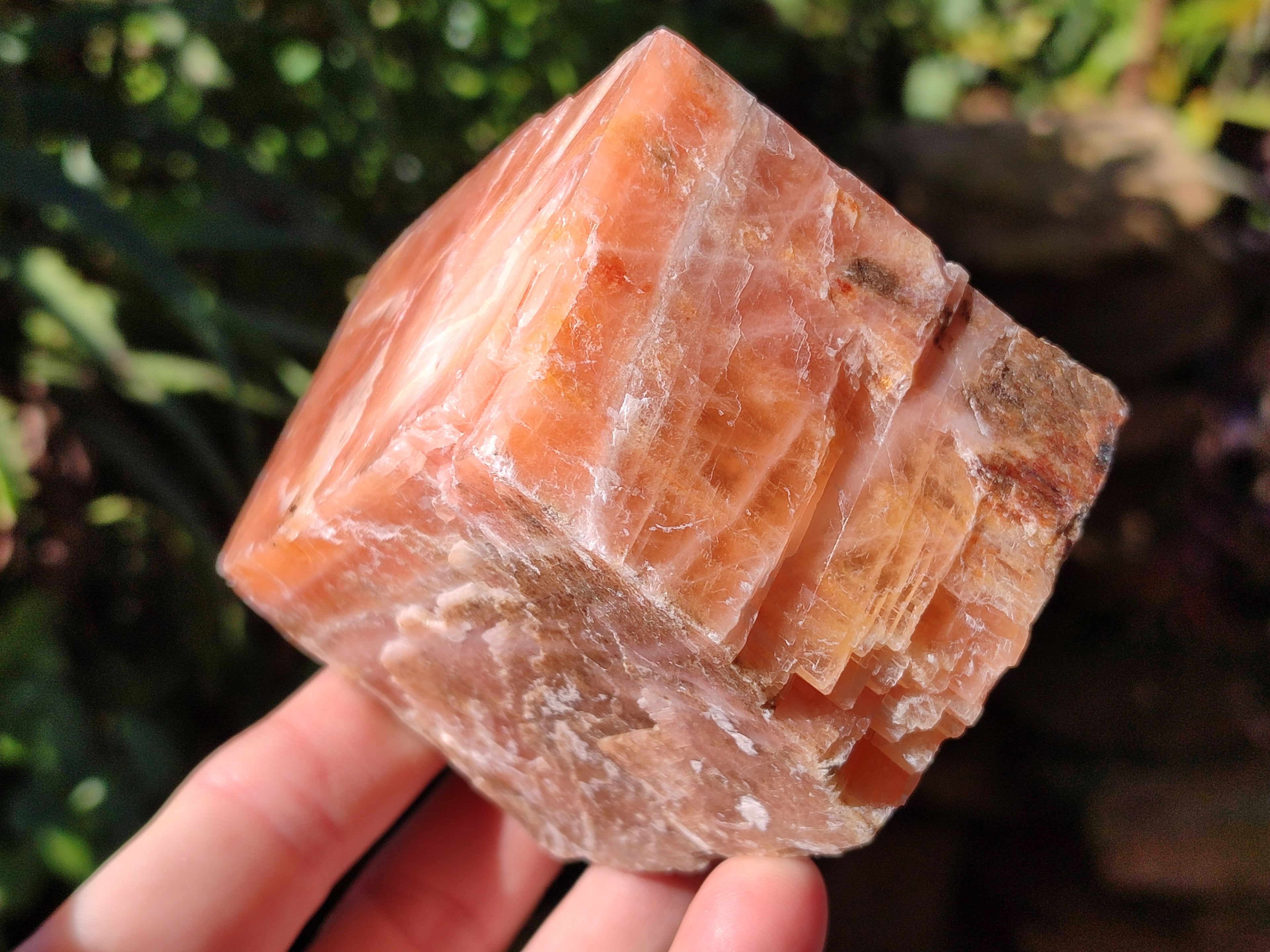 Natural Rhombohedral Sunset Orange Calcite Specimens x 6 From Spitzkop, Namibia - Toprock Gemstones and Minerals 