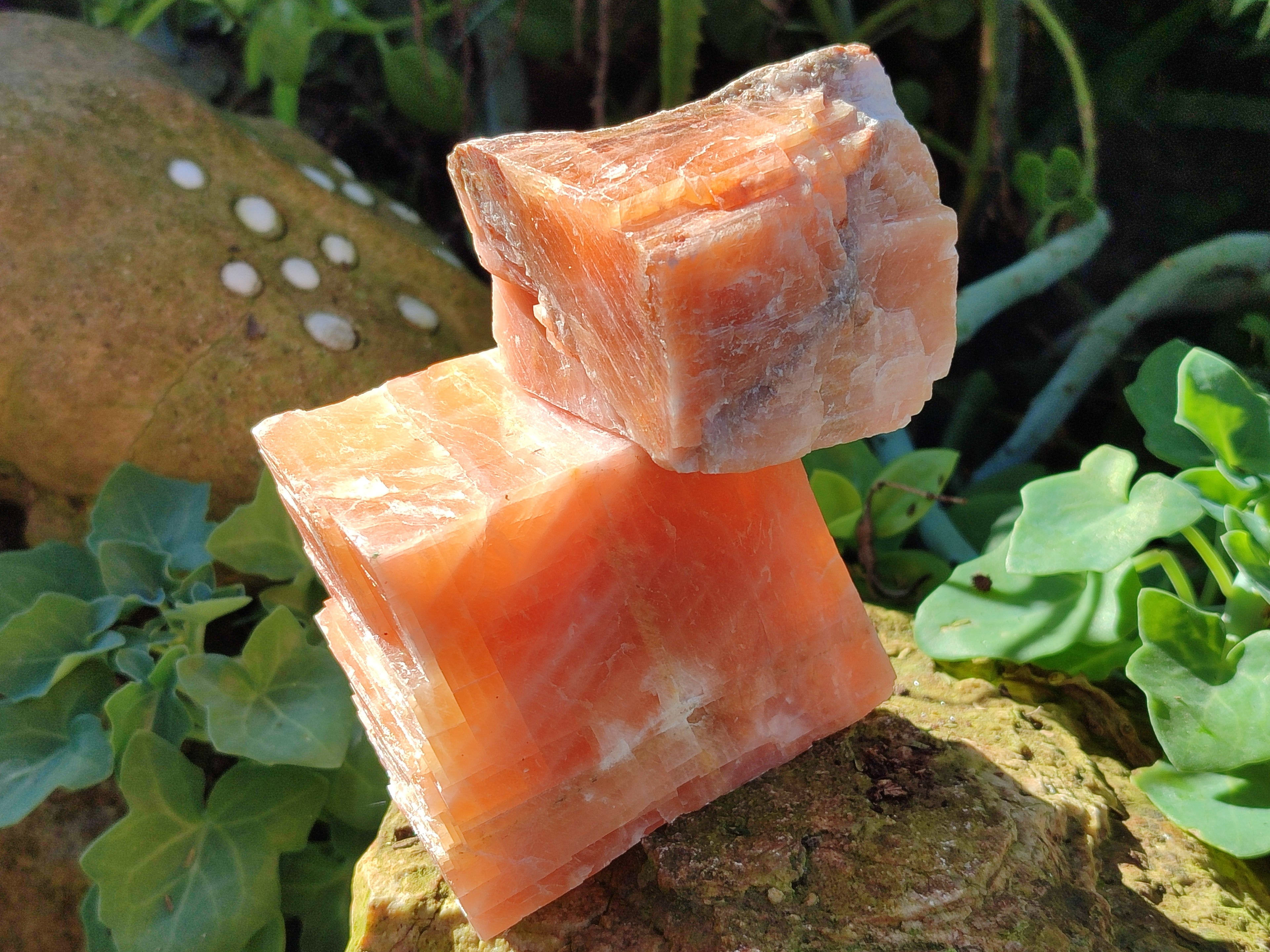 Natural Rhombohedral Sunset Orange Calcite Specimens x 6 From Spitzkop, Namibia - Toprock Gemstones and Minerals 