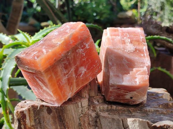 Natural Rhombohedral Sunset Orange Calcite Specimens x 6 From Spitzkop, Namibia