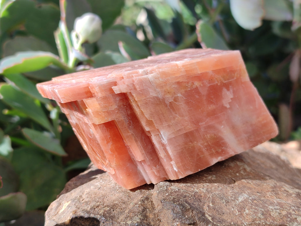Natural Rhombohedral Sunset Orange Calcite Specimens x 6 From Spitzkop, Namibia - Toprock Gemstones and Minerals 