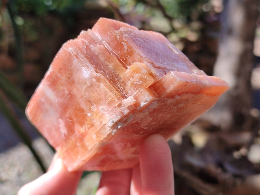Natural Rhombohedral Sunset Orange Calcite Specimens x 6 From Spitzkop, Namibia - Toprock Gemstones and Minerals 