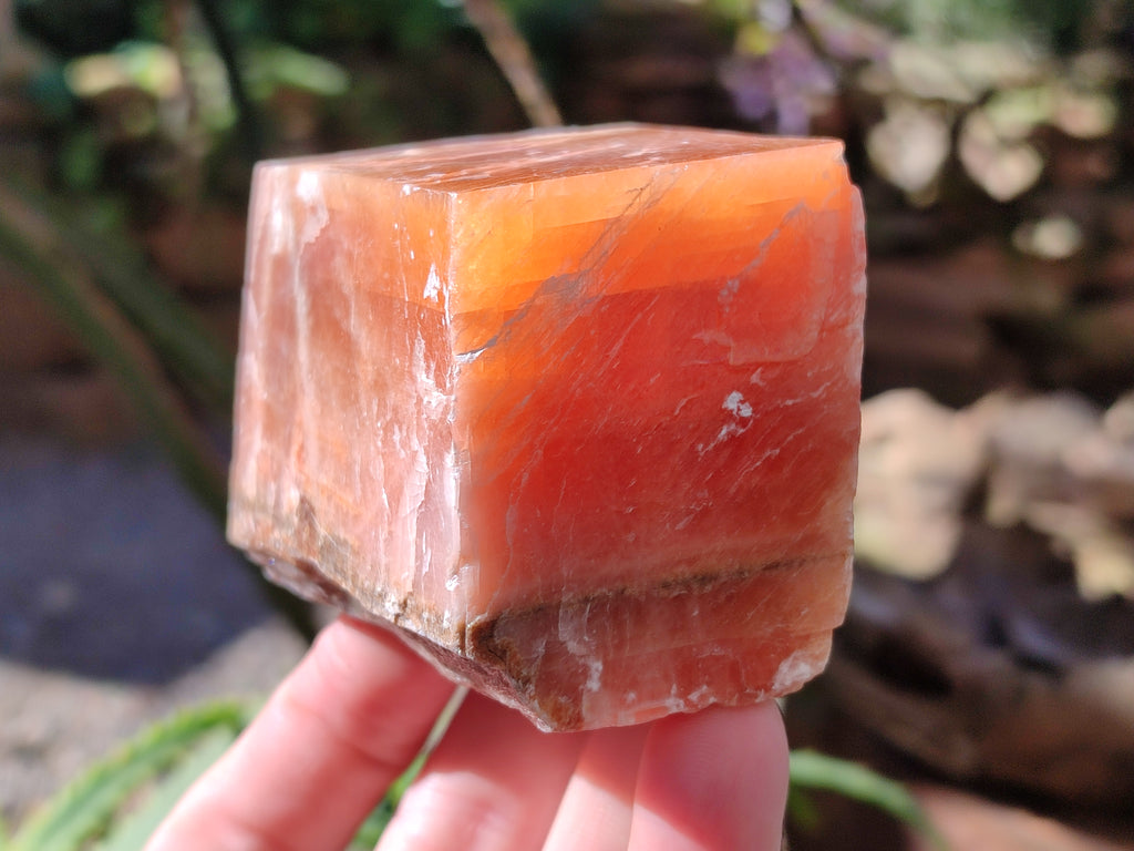 Natural Rhombohedral Sunset Orange Calcite Specimens x 6 From Spitzkop, Namibia - Toprock Gemstones and Minerals 