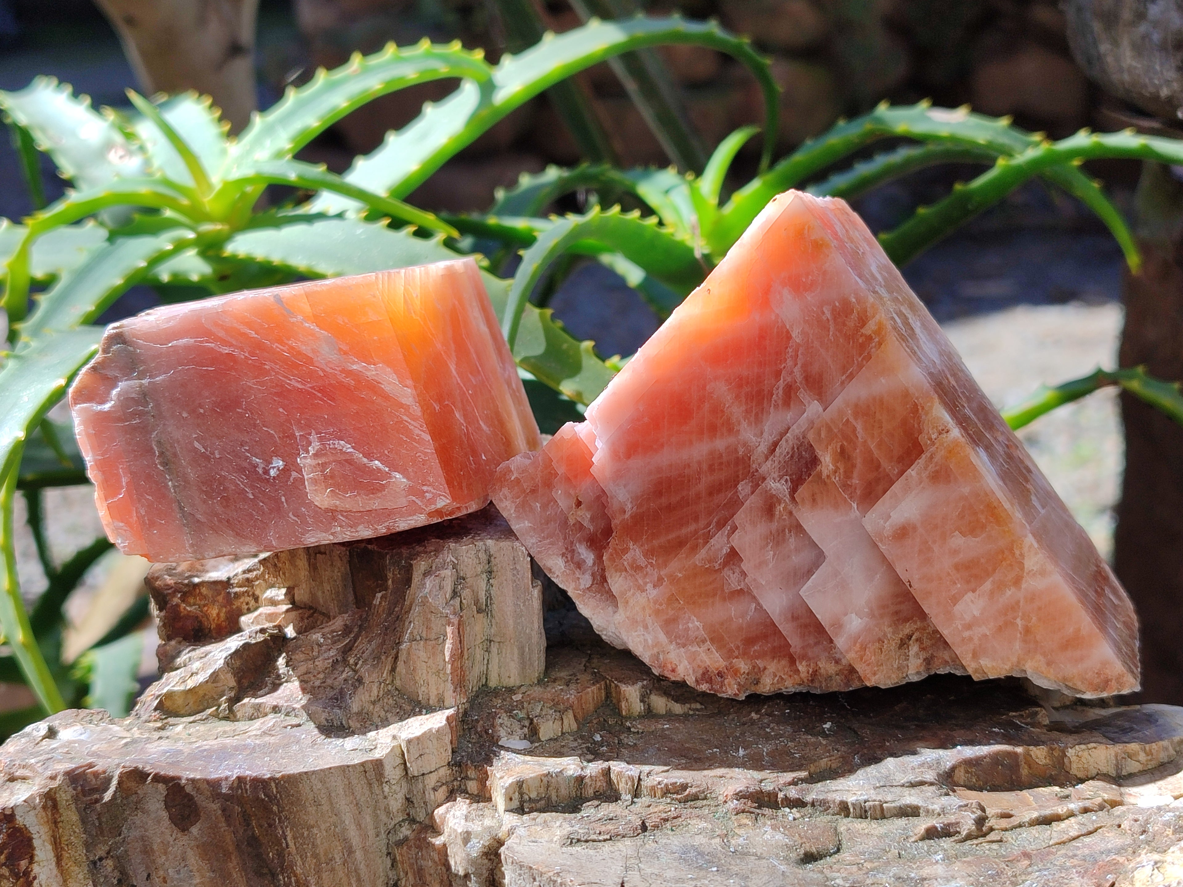 Natural Rhombohedral Sunset Orange Calcite Specimens x 6 From Spitzkop, Namibia - Toprock Gemstones and Minerals 