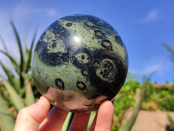 Polished Fossilized Stromatolite Jasper Spheres x 1 From Katsepy, Madagascar