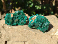 Natural Small Dioptase On Dolomite Specimens x 12 From Likasi, Congo
