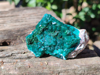 Natural Small Dioptase On Dolomite Specimens x 12 From Likasi, Congo