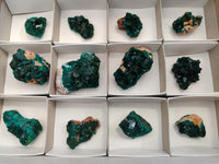Natural Small Dioptase On Dolomite Specimens x 12 From Likasi, Congo