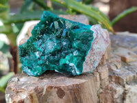 Natural Small Dioptase On Dolomite Specimens x 12 From Likasi, Congo