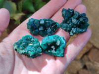 Natural Small Dioptase On Dolomite Specimens x 12 From Likasi, Congo