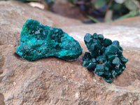 Natural Small Dioptase On Dolomite Specimens x 12 From Likasi, Congo