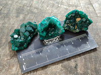 Natural Small Dioptase On Dolomite Specimens x 12 From Likasi, Congo