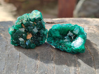 Natural Small Dioptase On Dolomite Specimens x 12 From Likasi, Congo