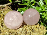 Polished Gemmy Rose Quartz Spheres with Star/Asterisms x 5 From Ambatondrazaka, Madagascar