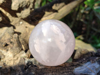 Polished Gemmy Rose Quartz Spheres with Star/Asterisms x 5 From Ambatondrazaka, Madagascar