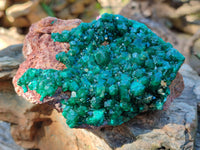 Natural Dioptase On Dolomite Specimen x 1 From Likasi, Congo