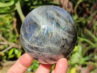 Polished Labradorite Spheres x 2 From Tulear, Madagascar - Toprock Gemstones and Minerals 