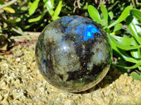 Polished Labradorite Spheres x 2 From Tulear, Madagascar - Toprock Gemstones and Minerals 