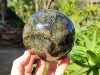 Polished Labradorite Spheres x 2 From Tulear, Madagascar - Toprock Gemstones and Minerals 