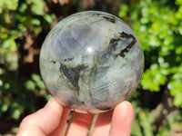 Polished Labradorite Spheres x 2 From Tulear, Madagascar - Toprock Gemstones and Minerals 