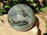 Polished Labradorite Spheres x 2 From Tulear, Madagascar - Toprock Gemstones and Minerals 