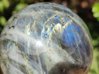 Polished Labradorite Spheres x 2 From Tulear, Madagascar - Toprock Gemstones and Minerals 
